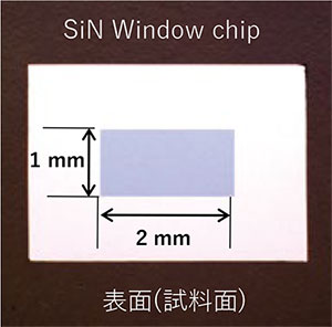 on chip CLEM