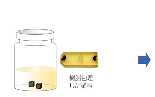 on chip CLEM Workflow(材料)