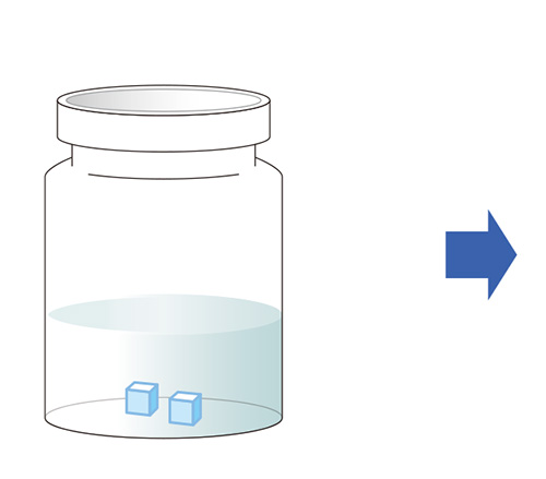 on chip CLEM Workflow(生物試料)