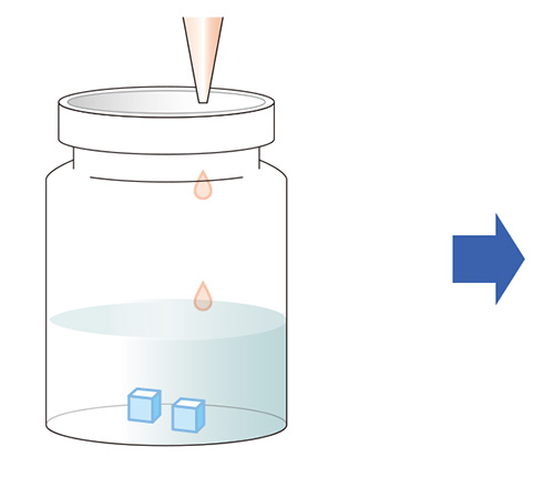 on chip CLEM Workflow(生物試料)