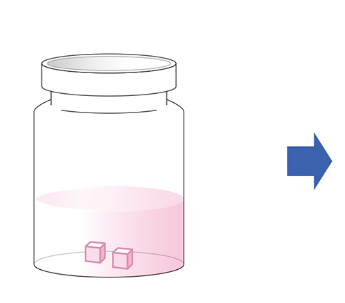 on chip CLEM Workflow(生物試料)