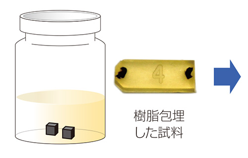 on chip CLEM Workflow(生物試料)