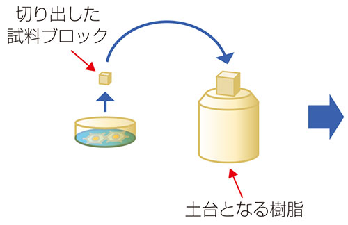 LLP- CLEM Workflow ①