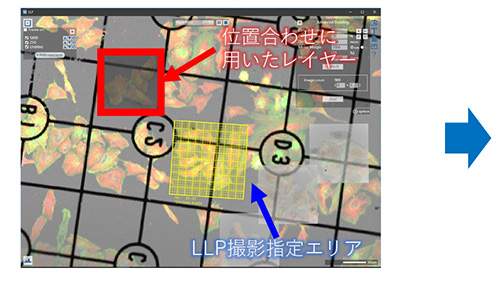LLP- CLEM Workflow ②