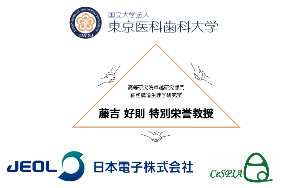 東京医科歯科大学ジョイントリサーチ講座 細胞構造生理学研究室 Cespl オープンイノベーション Jeol 日本電子株式会社