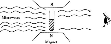 Simplified Principle of Electron Spin Resonance (ESR)