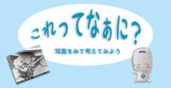 これってなあに?