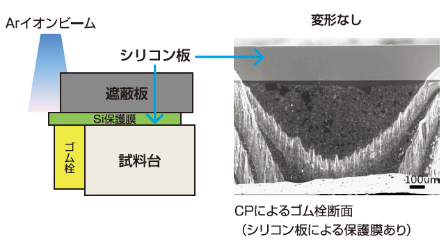 CPによるゴム栓断面(シリコンによる保護膜あり)