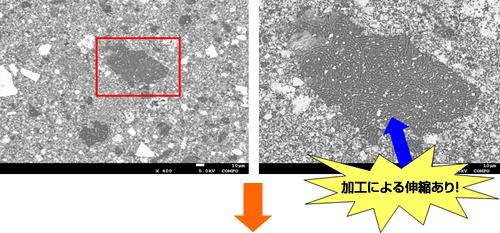 玄米 ゴム栓 FE-SEM(JSM-7001F)