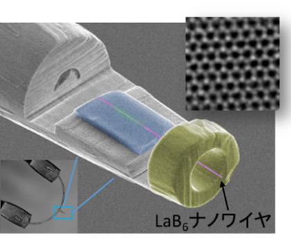 LaB6ナノワイヤ電子源の走査電子顕微鏡像