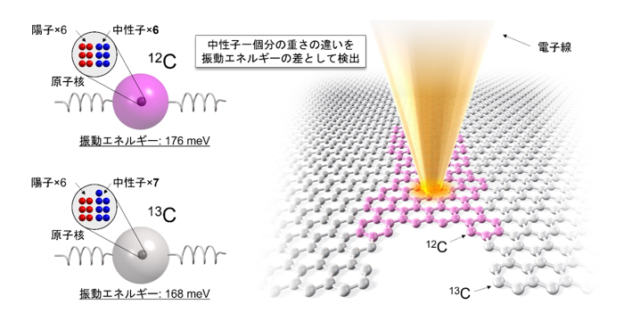 電子線分光によるグラフェン中の炭素同位体識別のイメージ図