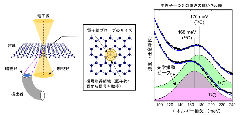 図2 実験手法と実際に得られた12Cおよび13Cグラフェンの格子振動スペクトル