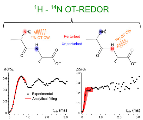 Frontiers in Molecular Bioscience