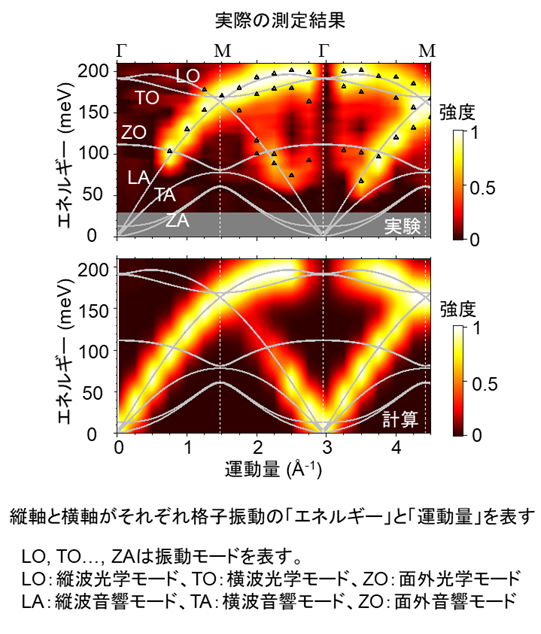 図2 グラフェンの格子振動の各振動モードのエネルギーと運動量の実測値(上)とシミュレーション結果(下)