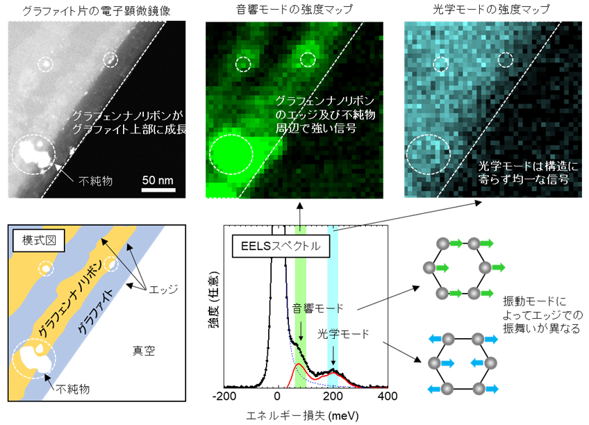 図3　グラフェンの局所的な各振動モードの強度測定の例