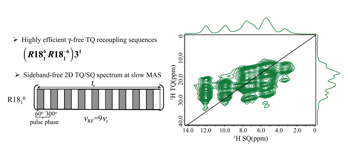 R. Zhang, V. Agarwal, Y. Nishiyama, J. Magn. Reson. Open, (2021) 100020.
