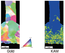 EBSD方位マップ像