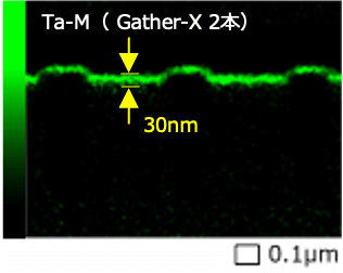 Ta-M (Gather-X 2本)