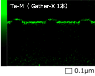 Ta-M (Gather-X 1本)