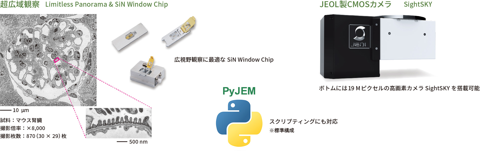 超広域観察、JEOL製CMOSカメラ SightSKY、PyJEM