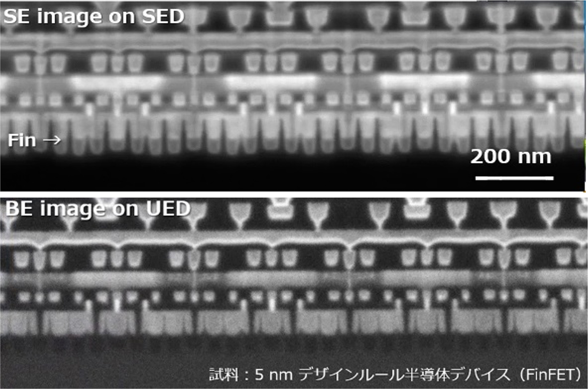 SE image on SEDとBE image on UEDの画像を並べた写真 (試料: 5 nm デザインルール半導体デバイス (FinFET))