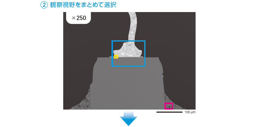 ② 観察視野をまとめて選択