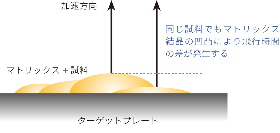 同じ試料でもマトリックス結晶の凹凸により飛行時間の差が発生する