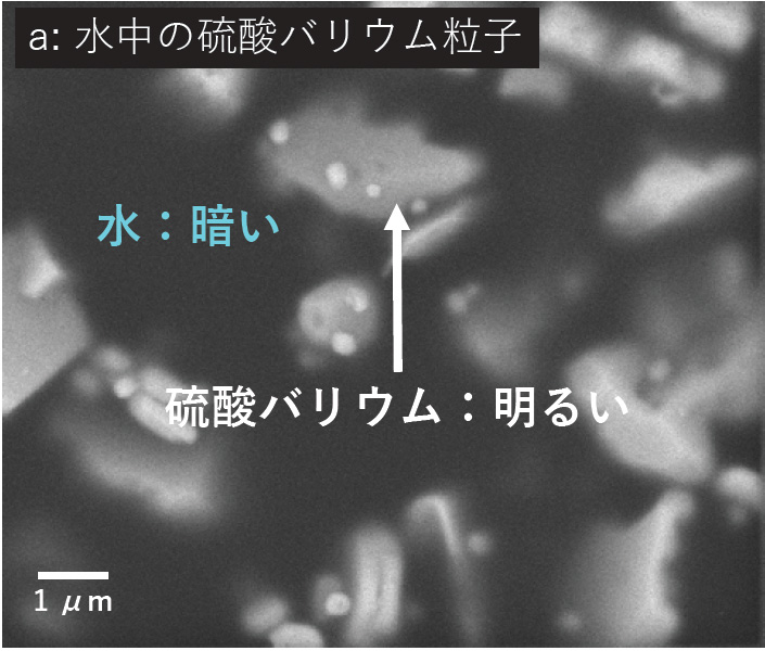 a: 水中の硫酸バリウム粒子