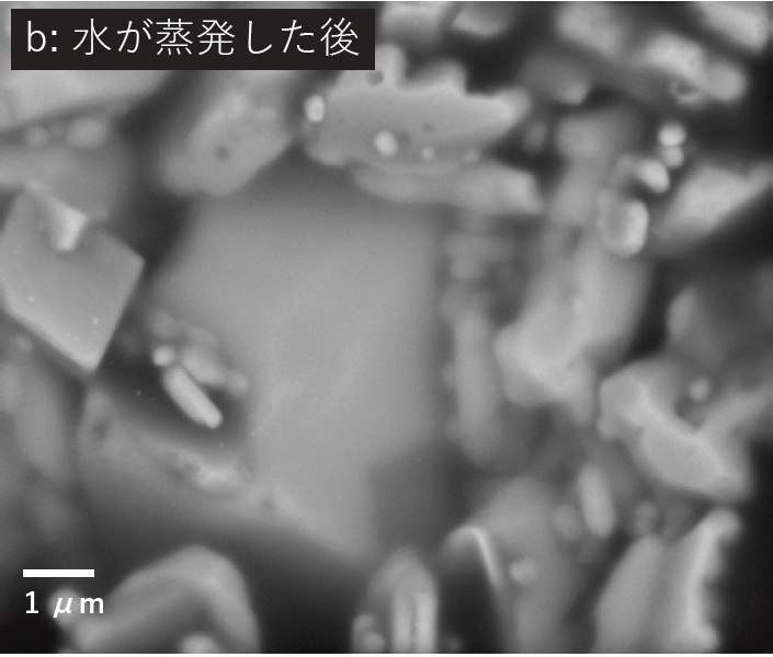 b. 水が蒸発した後