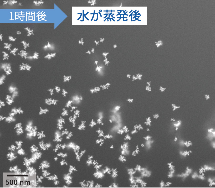 1時間後 水が蒸発後