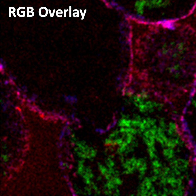 RGB Overlay