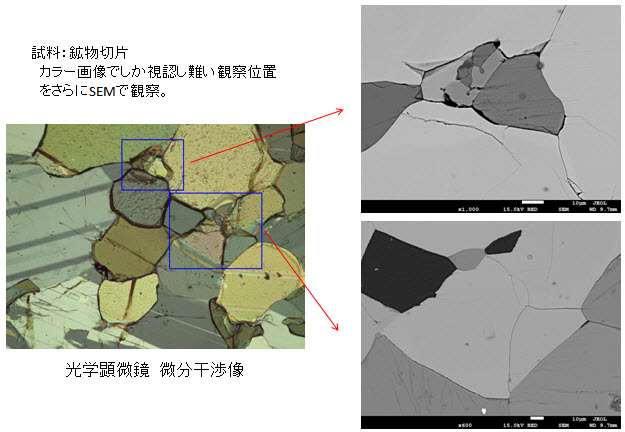 光学顕微鏡の特長を生かしたスムーズな位置同定