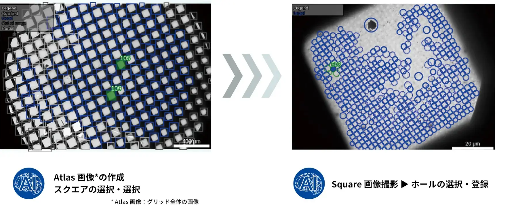 AI: Atlas画像*の作成、スクエアの選択・登録 (*Atlas 画像：グリッド全体の画像), AI: Square 画像撮影 ▶ ホールの選択・登録