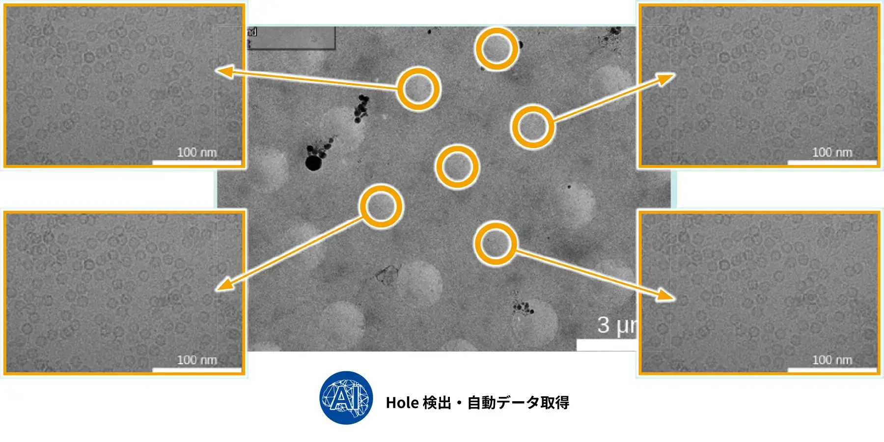 AI: Hole 検出・自動データ取得