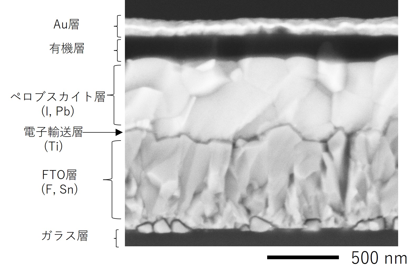 20240924perovskite_solar_cel.jpg