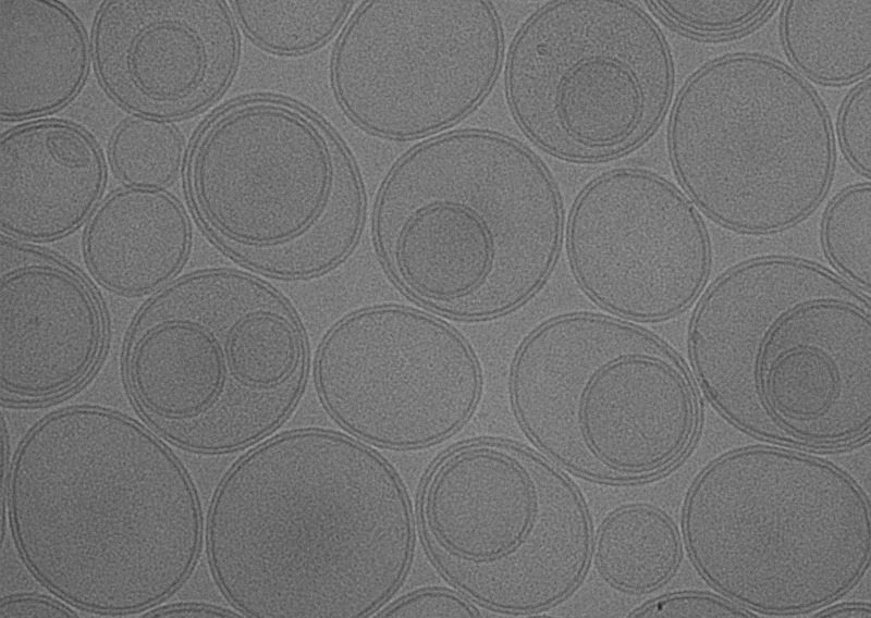 Liposome.jpg