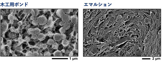 木工用ボンドとエマルションの観察図