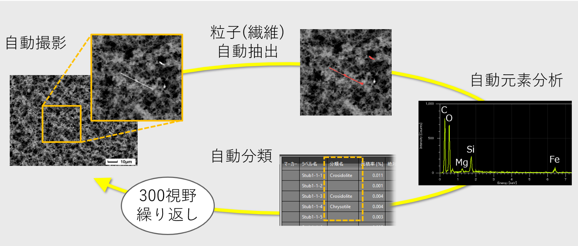 図1