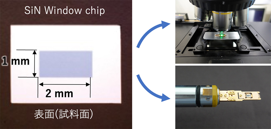 on chip CLEM ワークフロー