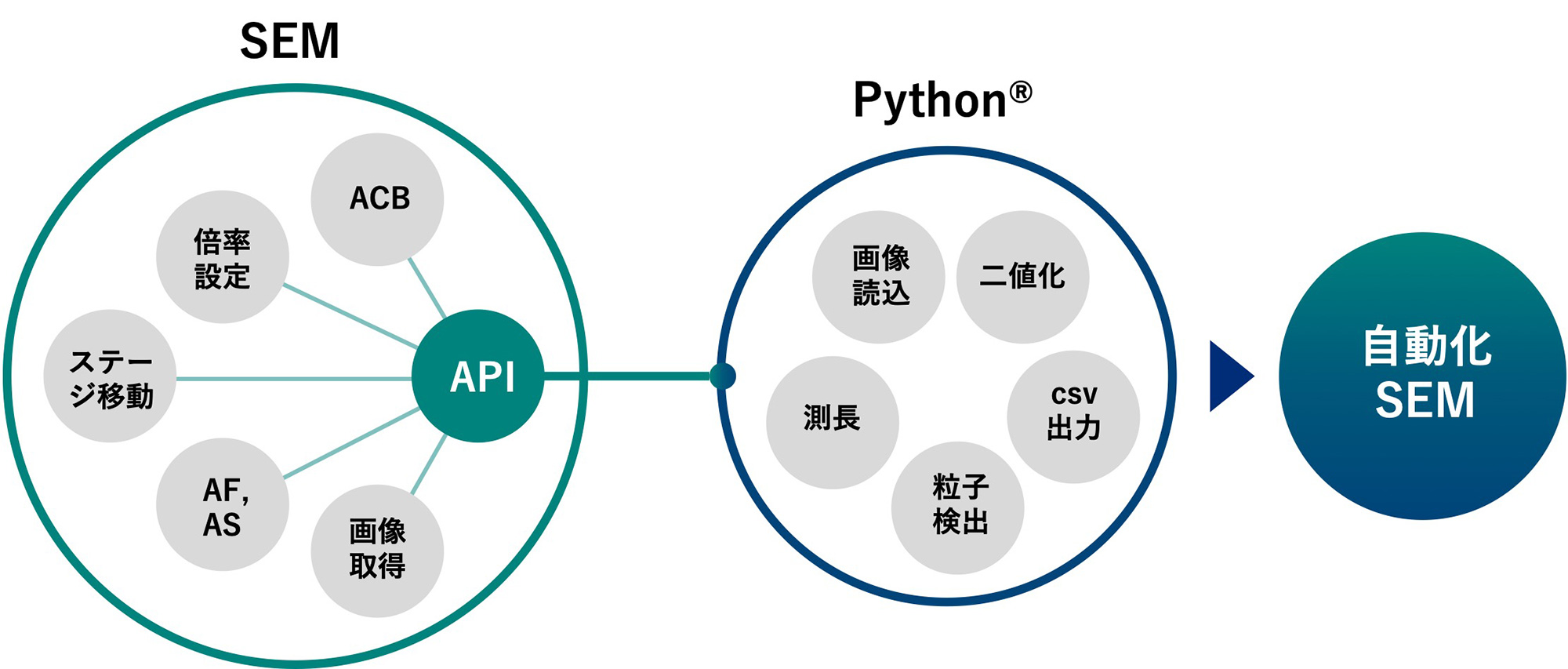 SEM: API-ACB-倍率設定-ステージ移動-AF, AS-画像取得、Python®: 画像読込・二値化・csv出力・粒子検出・測長→自動化SEM