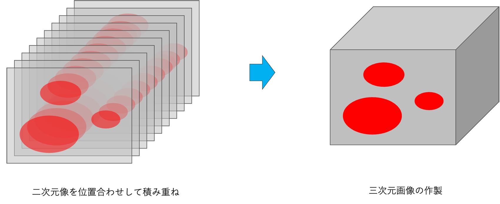 アレイトモグラフィー法 ワークフロー