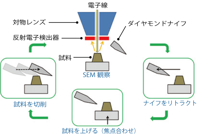 シリアルブロックフェイス (SBF) 法 切削・観察のワークフロー