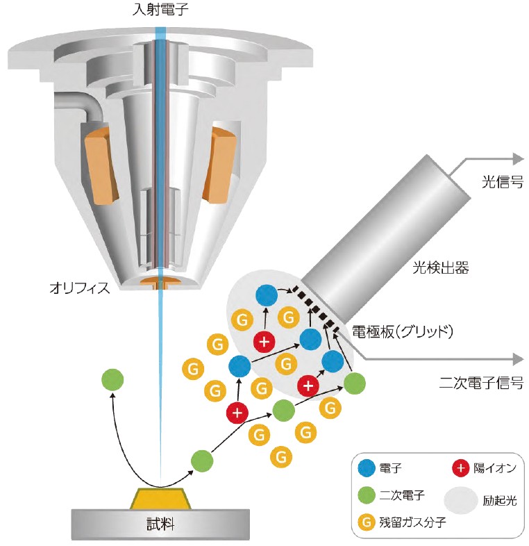 図1