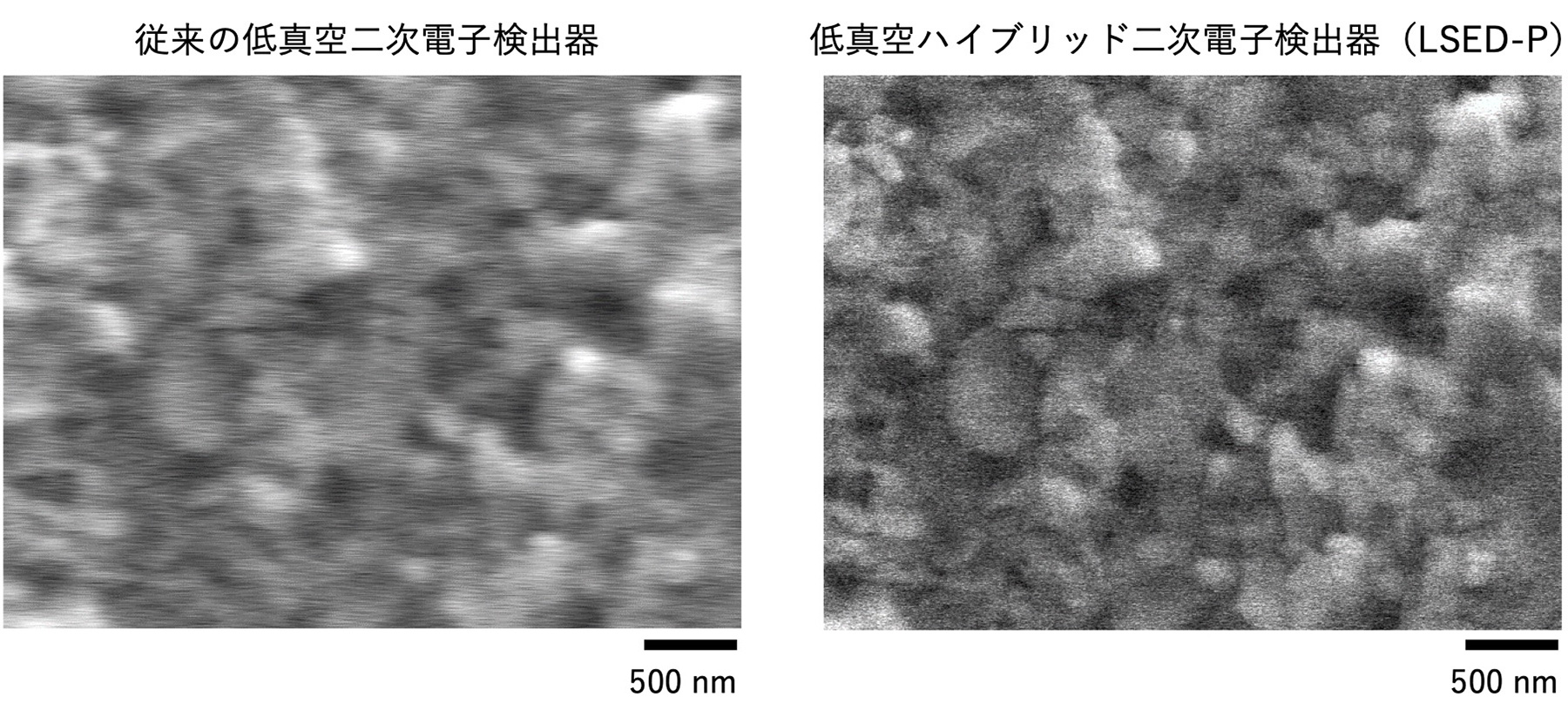 図2 左：従来の低真空二次電子検出器、右：低真空ハイブリッド二次電子検出器LS (ED-P)