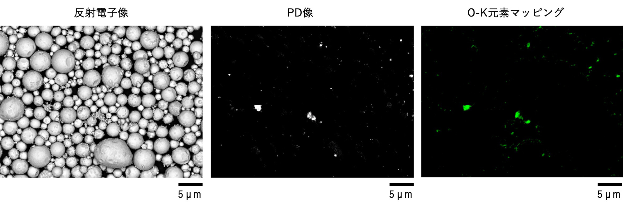 図7 左：反射電子像、中央：PD像、右：O-K 元素マッピング