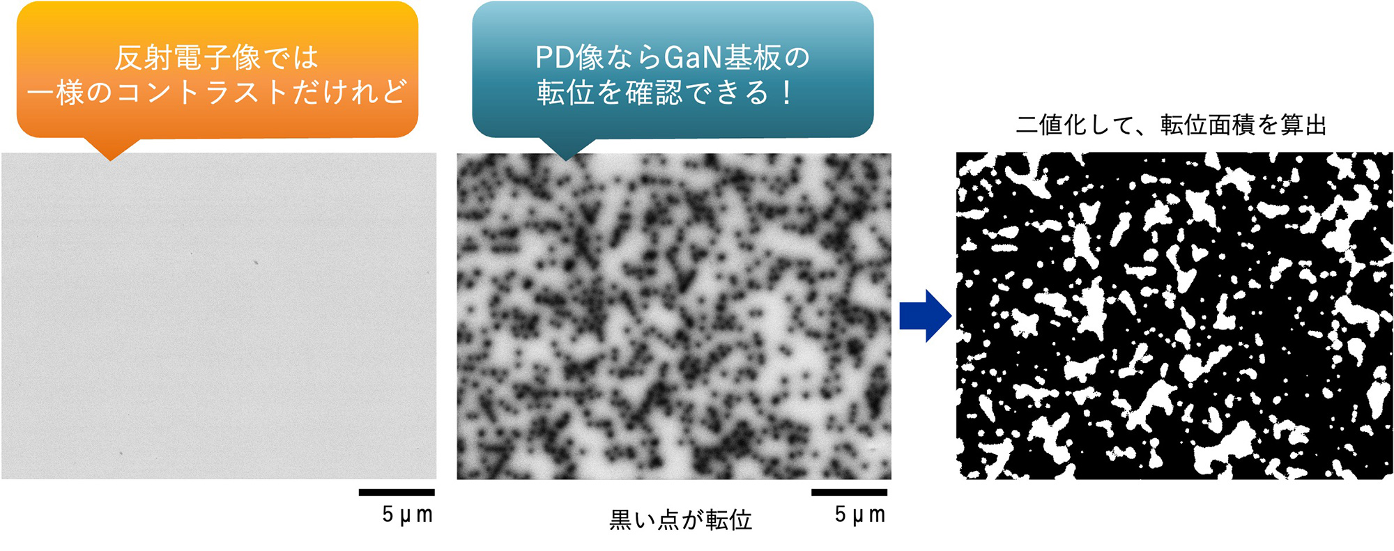 反射電子像では一様のコントラストだけれど、PD像なら
GaN基板の転位を確認できる！(黒い点が転位)→二値化して、転位面積を算出
