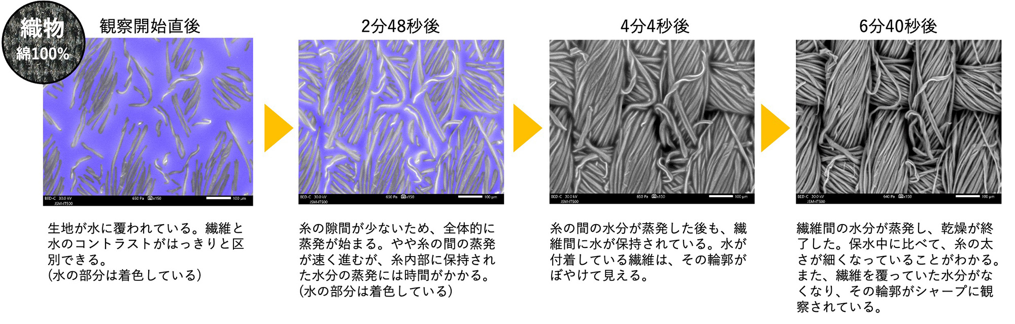 織物 綿100%。観察開始直後
：生地が水に覆われています。繊維と水のコントラストがはっきりと区別できます。→ 2分48秒後：糸の隙間が少ないため、全体的に蒸発が始まります。やや糸の間の蒸発が速く進みますが、糸内部に保持された水分の蒸発には時間がかかります。→  4分4秒後：糸の間の水分が蒸発した後も、繊維間に水が保持されています。水が付着している繊維は、その輪郭がぼやけて見えます。→ 6分40秒後：繊維間の水分が蒸発し、乾燥が終了しました。保水中に比べて、糸の太さが細くなっていることがわかります。また、繊維を覆っていた水分がなくなり、その輪郭がシャープに観察されています。