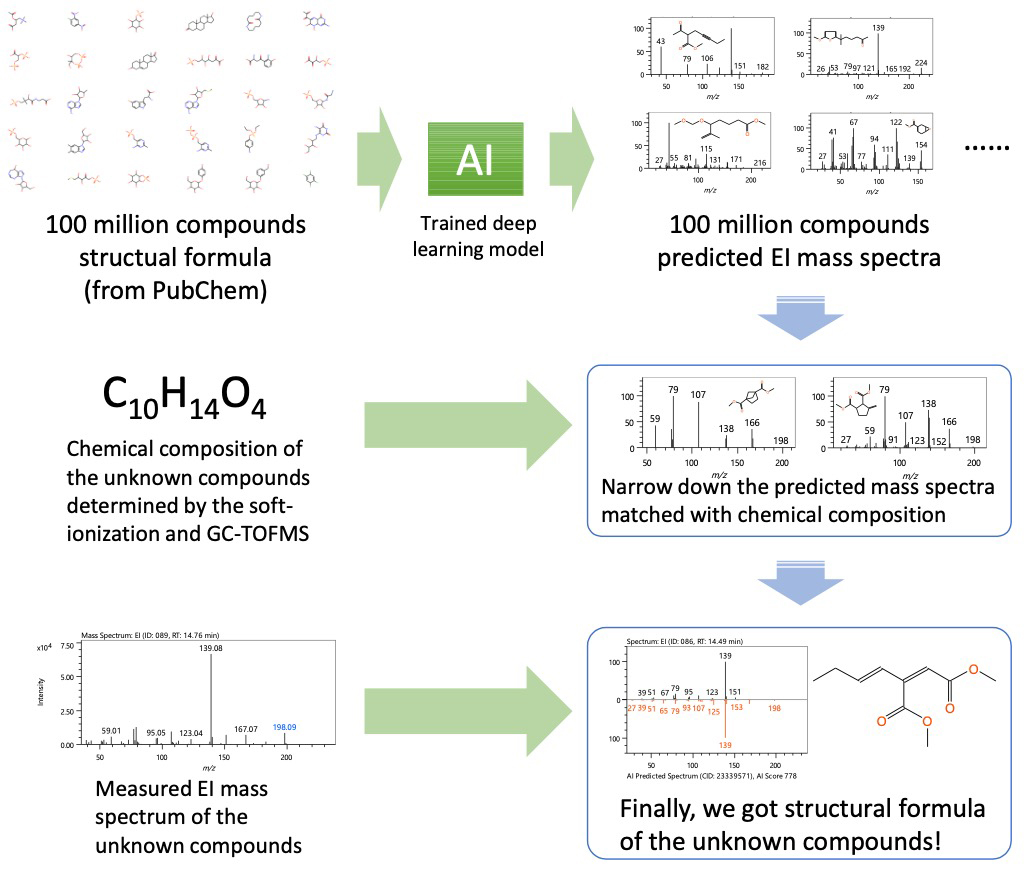 Fig.1　msFineAnalysis AI workflow for the structural analysis of unknowns