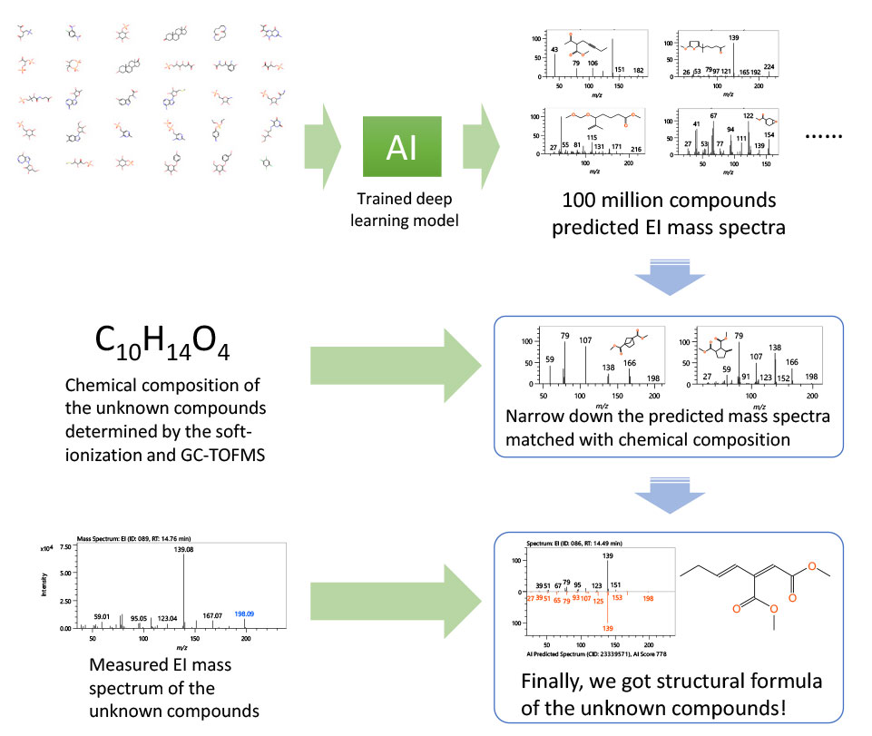 Fig.1 msFineAnalysis AI workflow for the structural analysis of unknowns