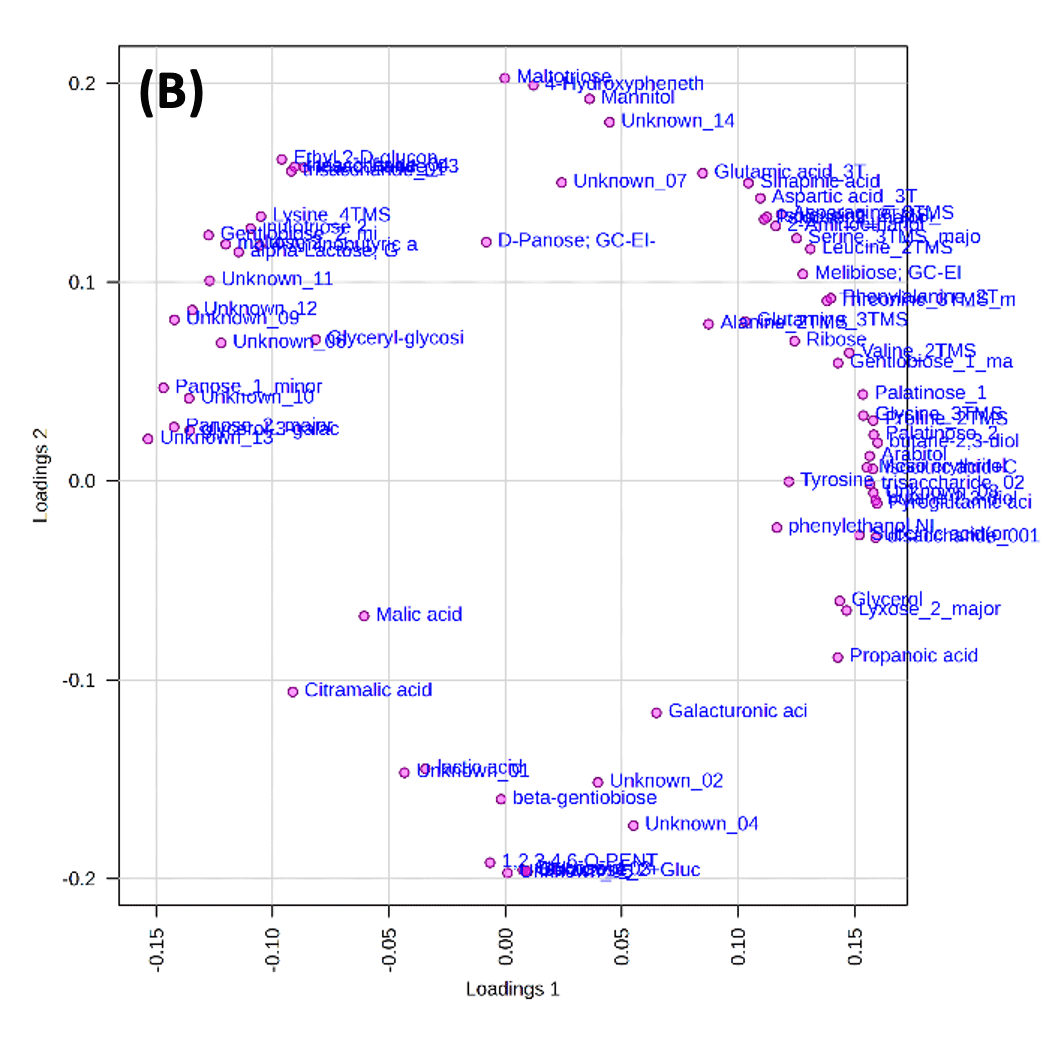 Figure 3 (B)